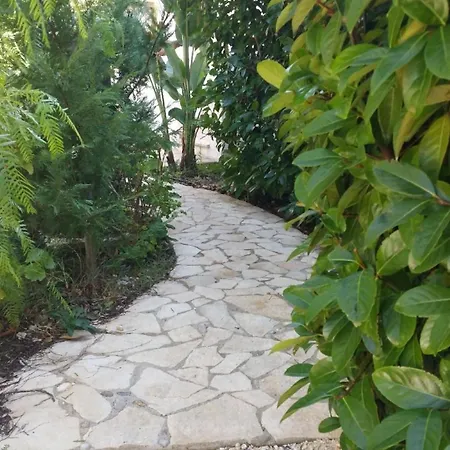 Dreizimmerwohnung Mit Veranda Und Garten Apartment Vieste