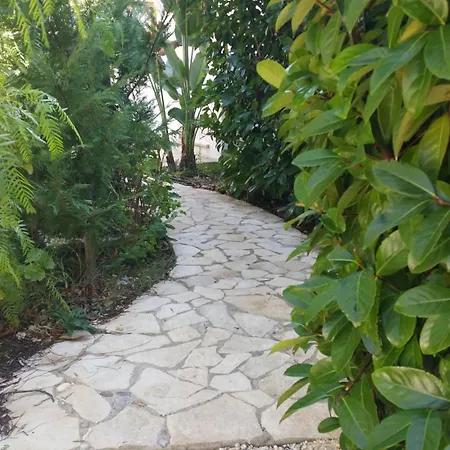 Apartment Dreizimmerwohnung Mit Veranda Und Garten