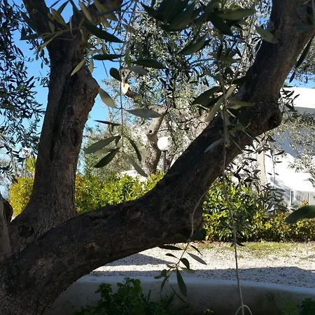 Dreizimmerwohnung Mit Veranda Und Garten Vieste